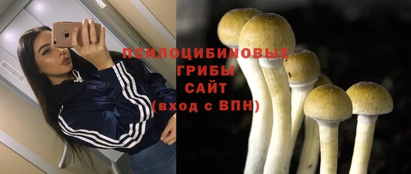 крисы Алексин