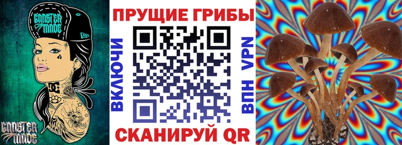 Псилоцибиновые грибы мухоморы Сарапул