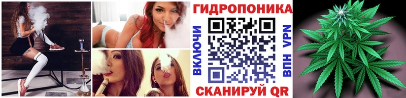 Каннабис конопля Сарапул